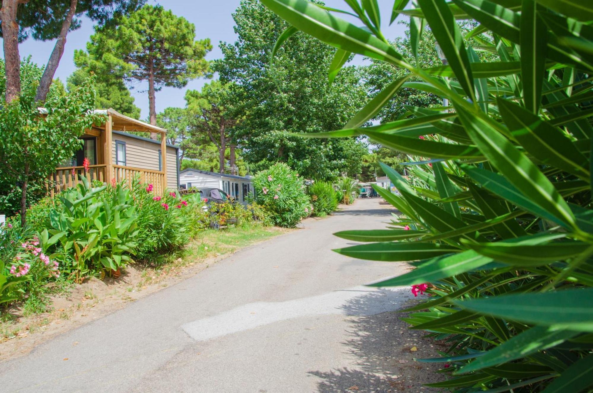 Camping Les Jardins D Agathe Le Grau-d'Agde ภายนอก รูปภาพ