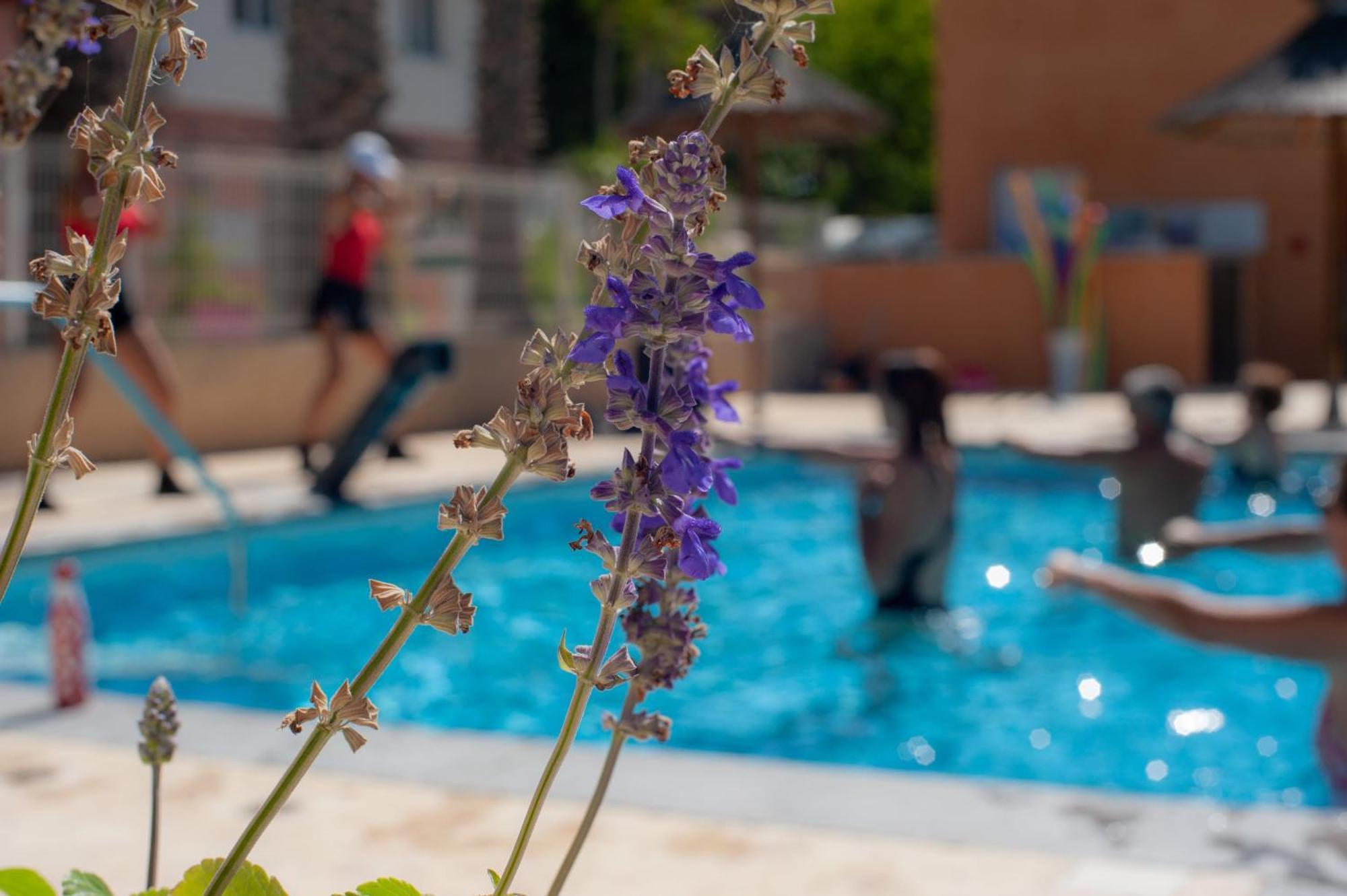 Camping Les Jardins D Agathe Le Grau-d'Agde ภายนอก รูปภาพ